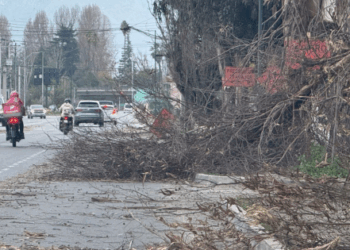 Colina: Vientos de más de 70 km/h generan daños en varios sectores.