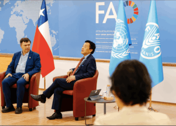 Chile propone establecer el Día Internacional de las Frutas y Verduras.