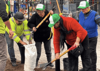 Plantaron especies nativas en Renca.