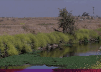 Plan de Acción Comunal contra el Cambio Climático en Quilicura