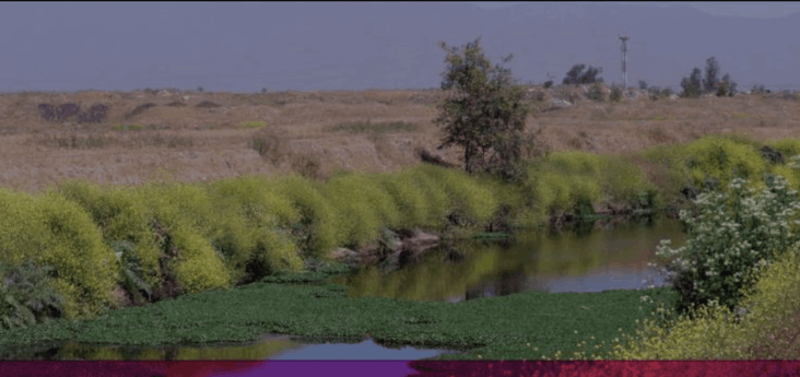 Plan de Acción Comunal contra el Cambio Climático en Quilicura