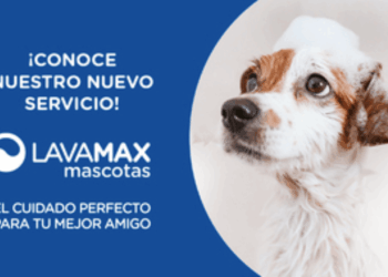Lavado de mascotas a mitad de precio en Copec, ¡no te lo pierdas!