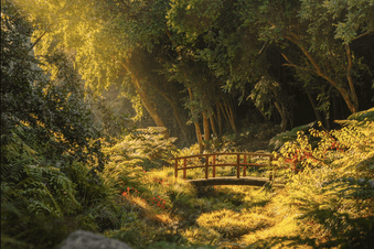 ¡Concierto gratis en el Humedal Giverny!