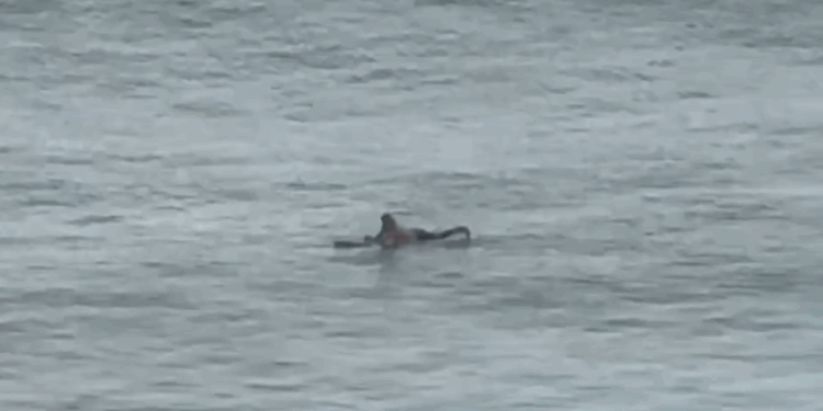 (VIDEO) En estado de alerta: captan a surfista aguardando olas de tsunami en Hawái.
