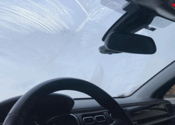 ¿Vidrios congelados por la mañana? Aquí te dejamos los mejores tips para lidiar con eso sin dañar tu auto.
