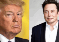 Trump y Musk: la pelea se intensifica entre el presidente y el empresario por los subsidios y la deuda pública.
