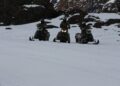 Ejército de Chile ofrece curso de rescate en nieve a los soldados del regimiento de Talca.