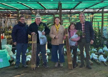 Agricultores de la región del Maule reciben 1.200 quillayes nativos para fomentar la arborización rural.