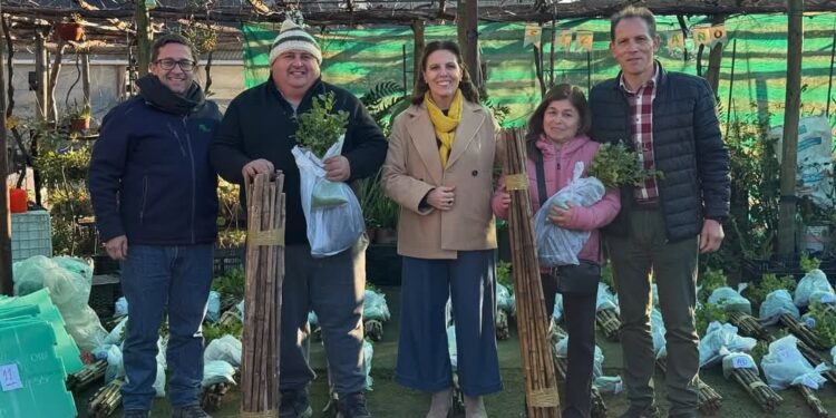 Agricultores de la región del Maule reciben 1.200 quillayes nativos para fomentar la arborización rural.