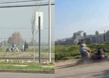 [VIDEO] Indignación en Colina: sacrifican caballos en plena calle
