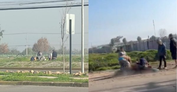 [VIDEO] Indignación en Colina: sacrifican caballos en plena calle