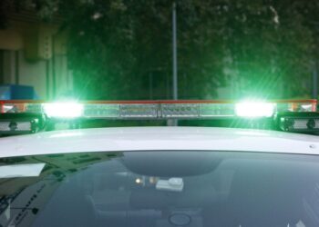 Arrestan otra vez a un famoso delincuente por robo en Los Ángeles: había sido liberado recientemente de prisión.