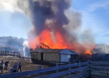 Un incendio arrasó una escuela rural y una vivienda en la comuna de Lonquimay.