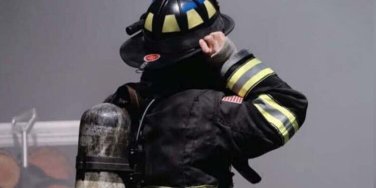 Mujer con movilidad reducida fallece en un devastador incendio en Malleco.