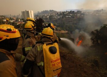 Apoyo general a la petición de cadena perpetua para los imputados por megaincendios.