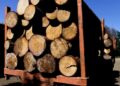 Se formaliza a empresas madereras de Los Ángeles y Malleco por receptación de madera sustraída.