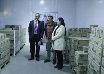 Beneficios de la ley que alarga la duración de las patentes provisorias.