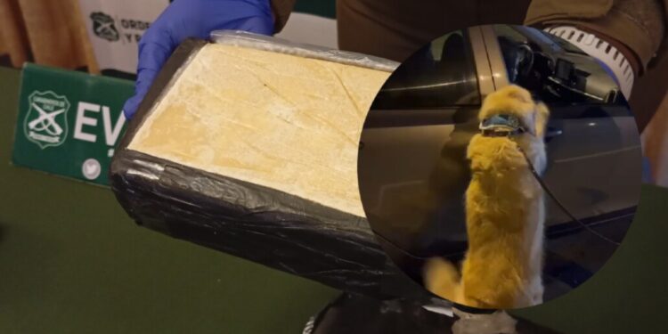 Diez kilos de droga confiscados y tres ciudadanos extranjeros arrestados en Cabrero tras controles en la Ruta 5 Sur.