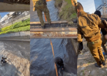 Intento de asalto en Ñuñoa termina en persecución y tres detenidos: uno saltó al canal San Carlos.