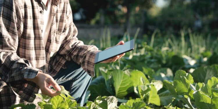 Establecen una alianza para promover la tecnología satelital en la agricultura: la región del Biobío se verá favorecida.