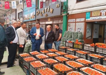 Chile y Turquía refuerzan su alianza en el ámbito agroalimentario.