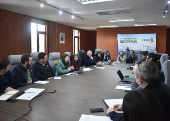 La Comisión de Infraestructura del CORE convocó a la empresa constructora debido a serias deficiencias en los departamentos de Puerto Montt.