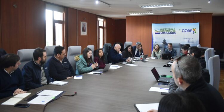 La Comisión de Infraestructura del CORE convocó a la empresa constructora debido a serias deficiencias en los departamentos de Puerto Montt.