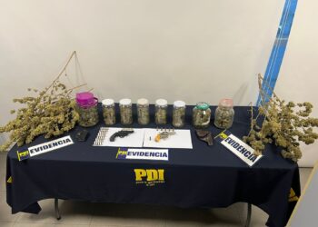 La Fiscalía presenta cargos contra un individuo por cultivo de marihuana en interior y posesión de armas en Linares.