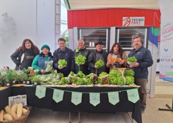 Gobierno en Terreno llegó hasta la zona rural de Paine.
