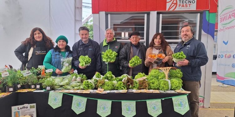 Gobierno en Terreno llegó hasta la zona rural de Paine.