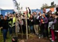 Gobierno de Santiago sembró el árbol número 35 mil.