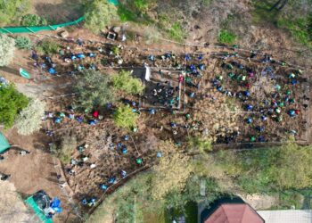 Gobierno de Santiago y Municipalidad de Peñalolén instalan el décimo Bosque de Bolsillo en la RM.