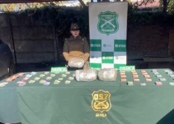 Desmantelan grupo delictivo especializado en la venta de drogas en Chillán y Los Ángeles.