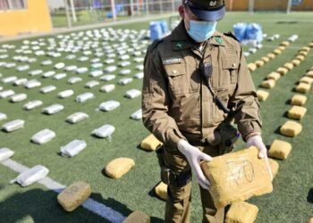 Descubren más de 700 kilos de marihuana que ingresaron a Chile por la frontera: se encontraron en una camioneta robada en Los Andes.
