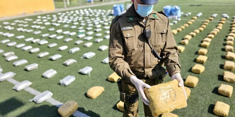 Descubren más de 700 kilos de marihuana que ingresaron a Chile por la frontera: se encontraron en una camioneta robada en Los Andes.