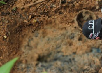 Hallan los cuerpos de ocho líderes sociales y religiosos en una fosa común en Colombia.
