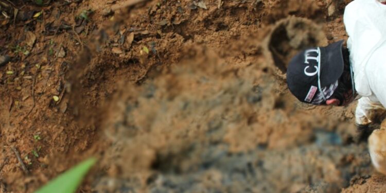 Hallan los cuerpos de ocho líderes sociales y religiosos en una fosa común en Colombia.
