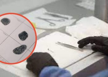 Contraloría informa sobre esperas de hasta 13 años para ingresar huellas genéticas al registro de ADN.