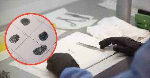 Contraloría informa sobre esperas de hasta 13 años para ingresar huellas genéticas al registro de ADN.