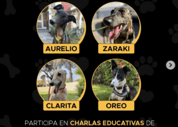 Jornada de adopción en el Mall VIVO Los Trapenses