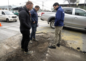 Retiro de lomo de toro en Independencia, Domingo Santa María.