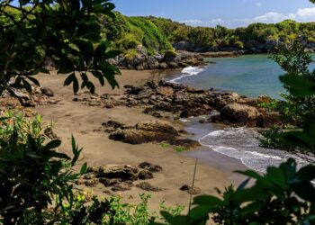 Islas en venta en Chile: biodiversidad, precios y cuidado ambiental.