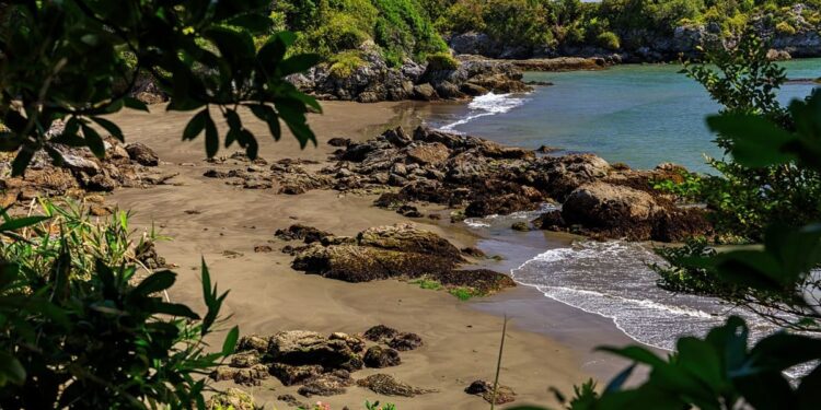 Islas en venta en Chile: biodiversidad, precios y cuidado ambiental.