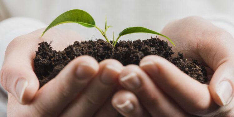 Valparaíso comenzó el proceso para optar por el Sistema de Certificación Ambiental Municipal.