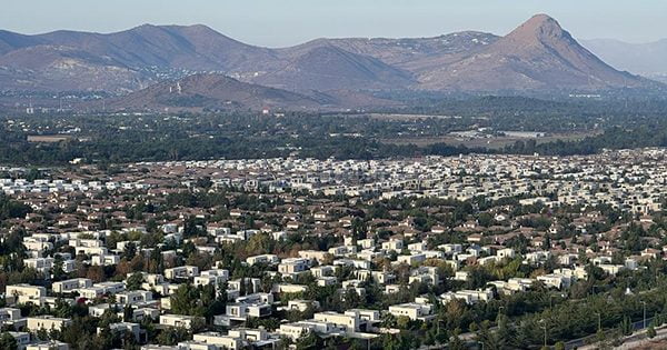 Carta al Director: «La política tributaria debe tener un enfoque más humano»