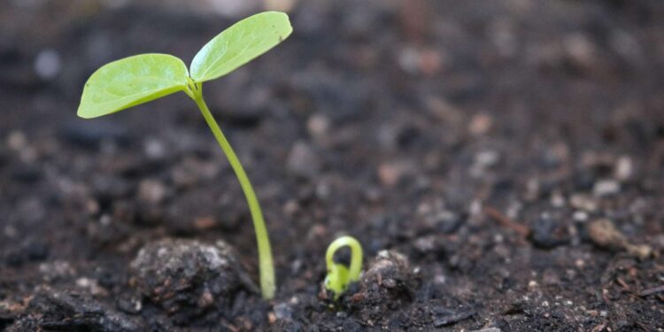 Convocatoria para el programa de formación «Territorios Verdes»