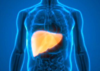 Académica alerta sobre la posible pandemia silenciosa relacionada con daño hepático y enfermedades cardiovasculares.