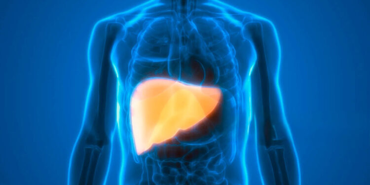 Académica alerta sobre la posible pandemia silenciosa relacionada con daño hepático y enfermedades cardiovasculares.