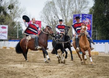 Talca se alista para la Fiesta de la Chilenidad 2025 con shows ecuestres y militares.