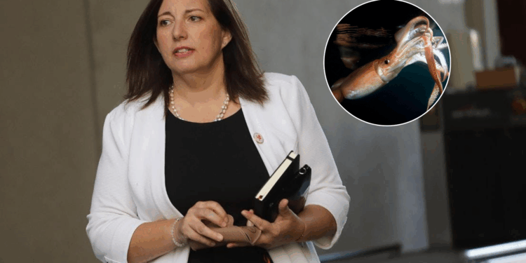 Senadora Vodanovic se pronuncia enérgicamente sobre la posible declaración de la Jibia como especie altamente migratoria.